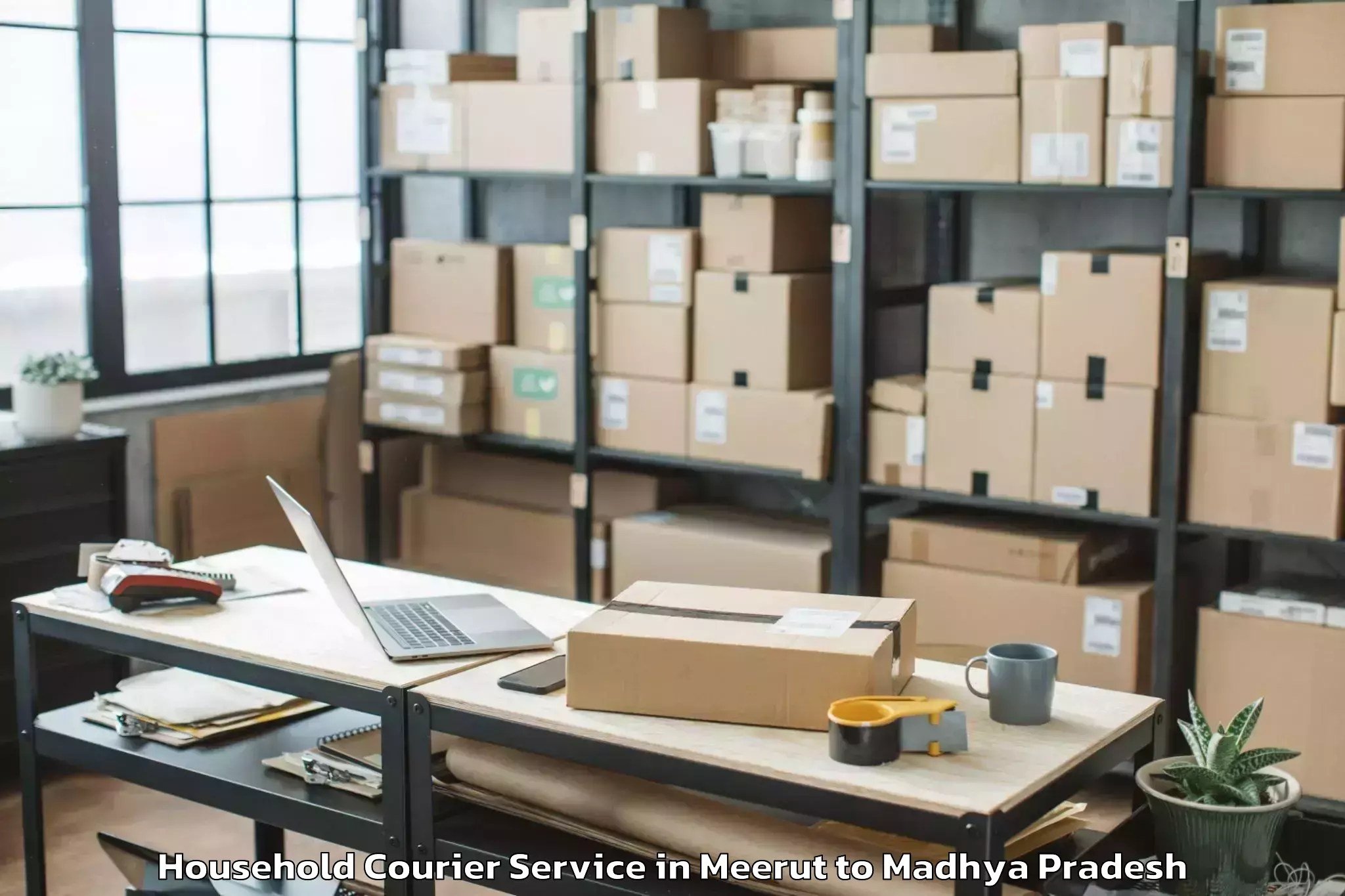 Quality Meerut to Shivpuri Household Courier